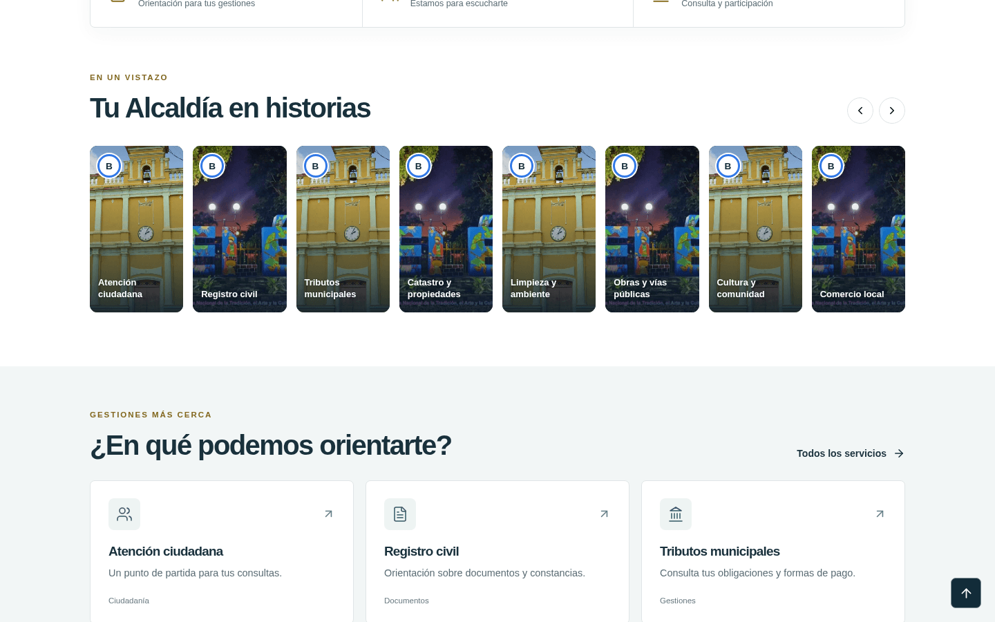 A civic website interface from the portfolio